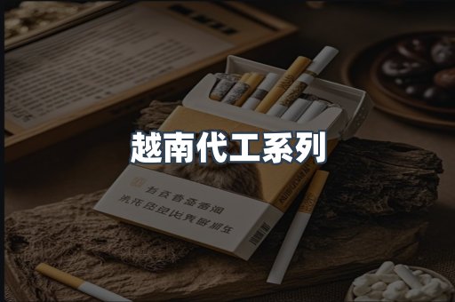 越南代工系列